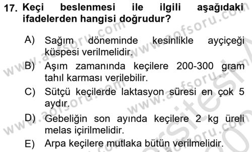 Temel Yem Bilgisi ve Hayvan Besleme Dersi 2025 - 2026 Yılı Yaz Okulu Sınav Soruları 17. Soru
