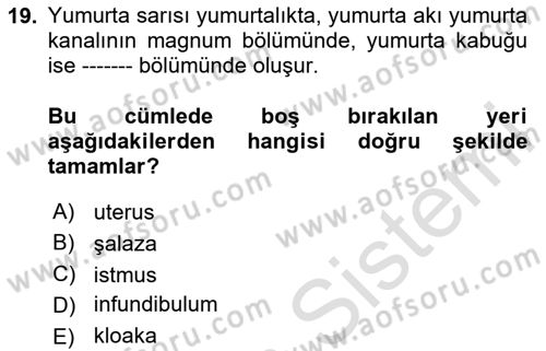Temel Yem Bilgisi ve Hayvan Besleme Dersi 2025 - 2026 Yılı Yaz Okulu Sınav Soruları 19. Soru