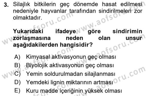 Temel Yem Bilgisi ve Hayvan Besleme Dersi 2025 - 2026 Yılı Yaz Okulu Sınav Soruları 3. Soru