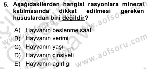 Temel Yem Bilgisi ve Hayvan Besleme Dersi 2025 - 2026 Yılı Yaz Okulu Sınav Soruları 5. Soru