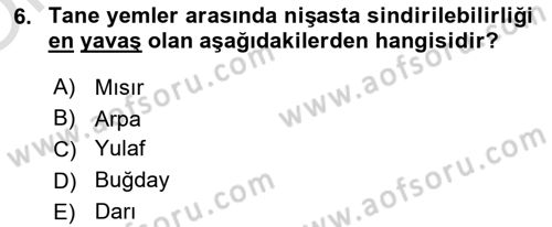 Temel Yem Bilgisi ve Hayvan Besleme Dersi 2025 - 2026 Yılı Yaz Okulu Sınav Soruları 6. Soru