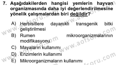 Temel Yem Bilgisi ve Hayvan Besleme Dersi 2025 - 2026 Yılı Yaz Okulu Sınav Soruları 7. Soru