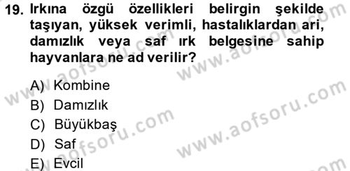Hayvancılık Ekonomisi Dersi 2014 - 2015 Yılı Tek Ders Sınav Soruları 19. Soru