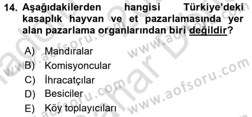 Hayvancılık Ekonomisi Dersi 2023 - 2024 Yılı (Final) Dönem Sonu Sınav Soruları 14. Soru