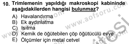 Temel Veteriner Patoloji Dersi 2012 - 2013 Yılı (Vize) Ara Sınav Soruları 10. Soru