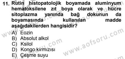 Temel Veteriner Patoloji Dersi Ara Sınavı Deneme Sınav Soruları 11. Soru