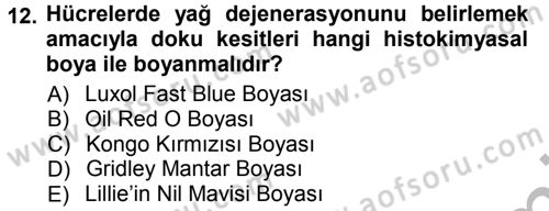 Temel Veteriner Patoloji Dersi 2012 - 2013 Yılı (Vize) Ara Sınav Soruları 12. Soru