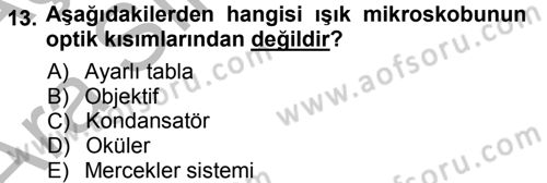 Temel Veteriner Patoloji Dersi 2012 - 2013 Yılı (Vize) Ara Sınav Soruları 13. Soru