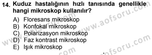 Temel Veteriner Patoloji Dersi 2012 - 2013 Yılı (Vize) Ara Sınav Soruları 14. Soru