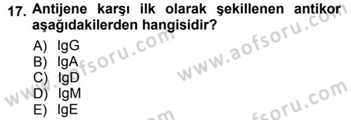 Temel Veteriner Patoloji Dersi 2012 - 2013 Yılı (Vize) Ara Sınav Soruları 17. Soru