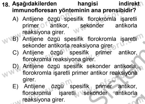 Temel Veteriner Patoloji Dersi 2012 - 2013 Yılı (Vize) Ara Sınav Soruları 18. Soru