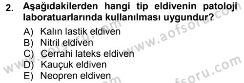 Temel Veteriner Patoloji Dersi Ara Sınavı Deneme Sınav Soruları 2. Soru