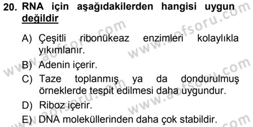 Temel Veteriner Patoloji Dersi Ara Sınavı Deneme Sınav Soruları 20. Soru
