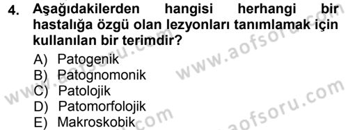 Temel Veteriner Patoloji Dersi 2012 - 2013 Yılı (Vize) Ara Sınav Soruları 4. Soru