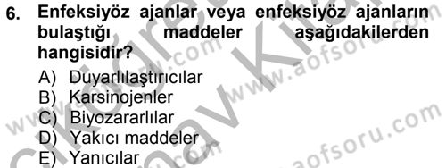 Temel Veteriner Patoloji Dersi 2012 - 2013 Yılı (Vize) Ara Sınav Soruları 6. Soru