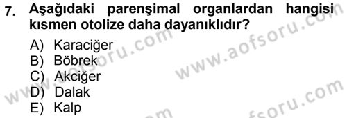 Temel Veteriner Patoloji Dersi 2012 - 2013 Yılı (Vize) Ara Sınav Soruları 7. Soru