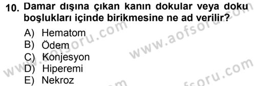 Temel Veteriner Patoloji Dersi 2012 - 2013 Yılı (Final) Dönem Sonu Sınav Soruları 10. Soru