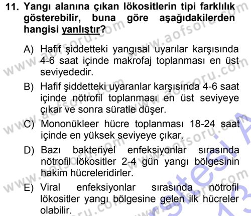 Temel Veteriner Patoloji Dersi 2012 - 2013 Yılı (Final) Dönem Sonu Sınav Soruları 11. Soru