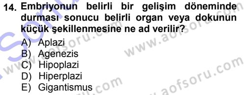 Temel Veteriner Patoloji Dersi 2012 - 2013 Yılı (Final) Dönem Sonu Sınav Soruları 14. Soru