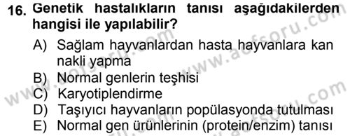 Temel Veteriner Patoloji Dersi 2012 - 2013 Yılı (Final) Dönem Sonu Sınav Soruları 16. Soru