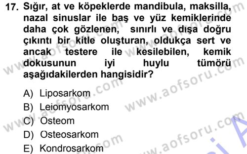 Temel Veteriner Patoloji Dersi 2012 - 2013 Yılı (Final) Dönem Sonu Sınav Soruları 17. Soru