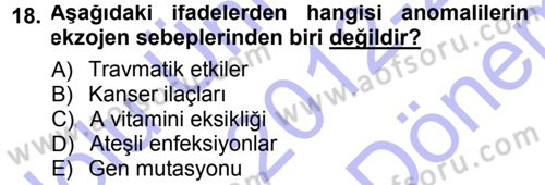Temel Veteriner Patoloji Dersi 2012 - 2013 Yılı (Final) Dönem Sonu Sınav Soruları 18. Soru