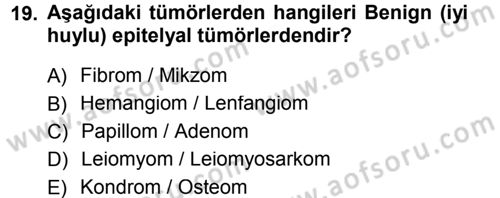 Temel Veteriner Patoloji Dersi 2012 - 2013 Yılı (Final) Dönem Sonu Sınav Soruları 19. Soru