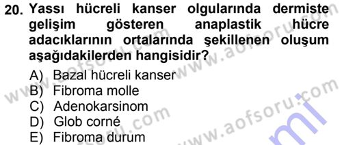 Temel Veteriner Patoloji Dersi 2012 - 2013 Yılı (Final) Dönem Sonu Sınav Soruları 20. Soru