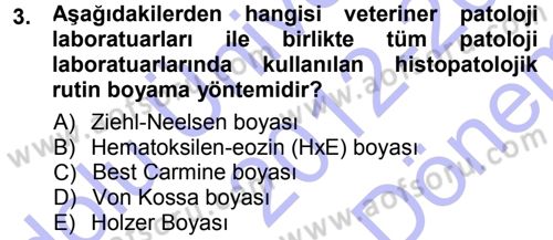 Temel Veteriner Patoloji Dersi 2012 - 2013 Yılı (Final) Dönem Sonu Sınav Soruları 3. Soru