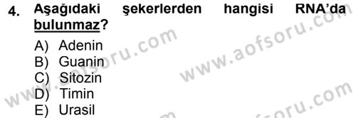 Temel Veteriner Patoloji Dersi 2012 - 2013 Yılı (Final) Dönem Sonu Sınav Soruları 4. Soru