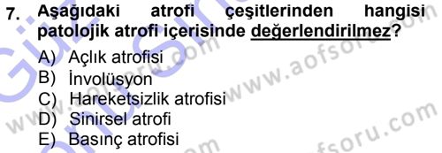 Temel Veteriner Patoloji Dersi 2012 - 2013 Yılı (Final) Dönem Sonu Sınav Soruları 7. Soru