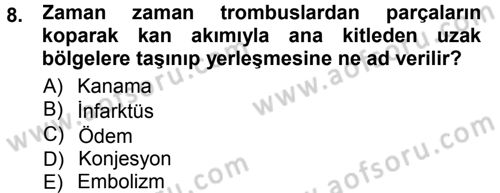 Temel Veteriner Patoloji Dersi 2012 - 2013 Yılı (Final) Dönem Sonu Sınav Soruları 8. Soru