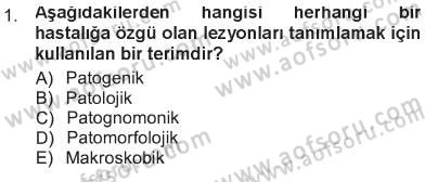 Temel Veteriner Patoloji Dersi 2012 - 2013 Yılı Tek Ders Sınav Soruları 1. Soru