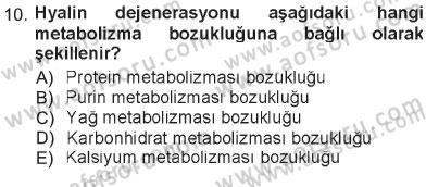 Temel Veteriner Patoloji Dersi 2012 - 2013 Yılı Tek Ders Sınav Soruları 10. Soru