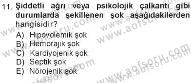Temel Veteriner Patoloji Dersi 2012 - 2013 Yılı Tek Ders Sınav Soruları 11. Soru
