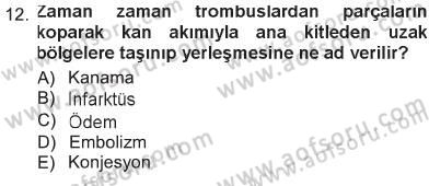 Temel Veteriner Patoloji Dersi 2012 - 2013 Yılı Tek Ders Sınav Soruları 12. Soru
