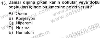 Temel Veteriner Patoloji Dersi 2012 - 2013 Yılı Tek Ders Sınav Soruları 13. Soru