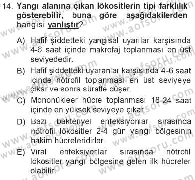 Temel Veteriner Patoloji Dersi 2012 - 2013 Yılı Tek Ders Sınav Soruları 14. Soru