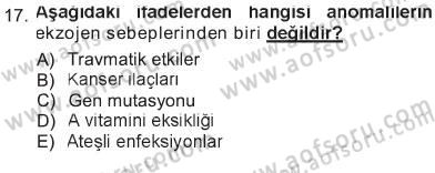Temel Veteriner Patoloji Dersi 2012 - 2013 Yılı Tek Ders Sınav Soruları 17. Soru