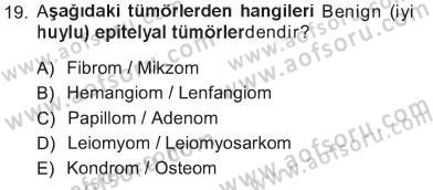 Temel Veteriner Patoloji Dersi 2012 - 2013 Yılı Tek Ders Sınav Soruları 19. Soru