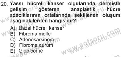 Temel Veteriner Patoloji Dersi 2012 - 2013 Yılı Tek Ders Sınav Soruları 20. Soru