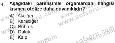 Temel Veteriner Patoloji Dersi 2012 - 2013 Yılı Tek Ders Sınav Soruları 4. Soru