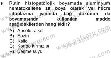 Temel Veteriner Patoloji Dersi 2012 - 2013 Yılı Tek Ders Sınav Soruları 6. Soru
