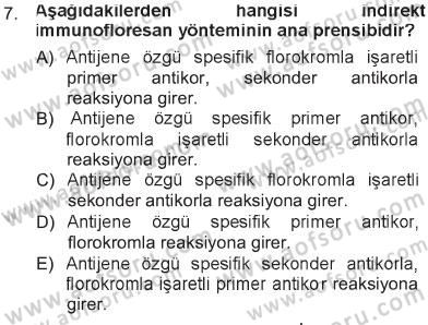 Temel Veteriner Patoloji Dersi 2012 - 2013 Yılı Tek Ders Sınav Soruları 7. Soru