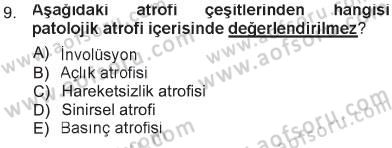 Temel Veteriner Patoloji Dersi 2012 - 2013 Yılı Tek Ders Sınav Soruları 9. Soru