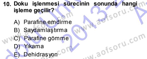 Temel Veteriner Patoloji Dersi 2013 - 2014 Yılı (Vize) Ara Sınav Soruları 10. Soru