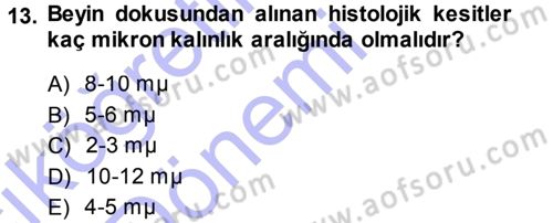 Temel Veteriner Patoloji Dersi 2013 - 2014 Yılı (Vize) Ara Sınav Soruları 13. Soru