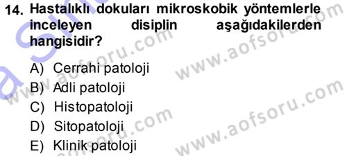 Temel Veteriner Patoloji Dersi 2013 - 2014 Yılı (Vize) Ara Sınav Soruları 14. Soru