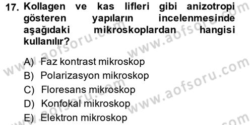 Temel Veteriner Patoloji Dersi 2013 - 2014 Yılı (Vize) Ara Sınav Soruları 17. Soru