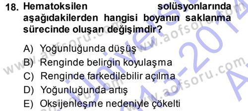 Temel Veteriner Patoloji Dersi 2013 - 2014 Yılı (Vize) Ara Sınav Soruları 18. Soru